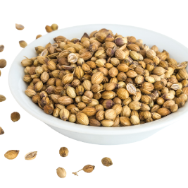 Coriandre  - قزبور