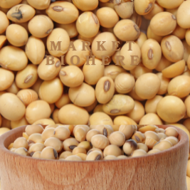 Graines de Soja -حبوب الصوجا