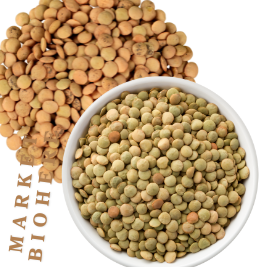 العدس  - Lentille